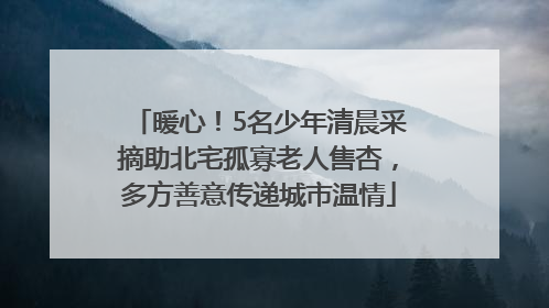 暖心！5名少年清晨采摘助北宅孤寡老人售杏，多方善意传递城市温情