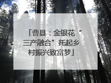 曹县：金银花“三产融合”托起乡村振兴致富梦