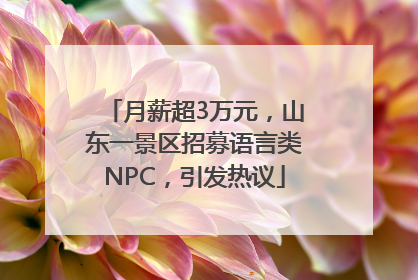 月薪超3万元，山东一景区招募语言类NPC，引发热议