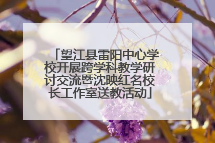 望江县雷阳中心学校开展跨学科教学研讨交流暨沈映红名校长工作室送教活动