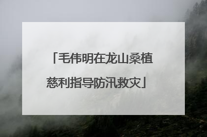 毛伟明在龙山桑植慈利指导防汛救灾