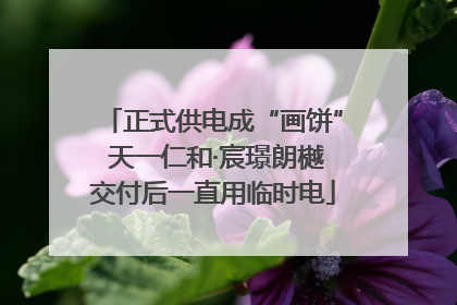 正式供电成“画饼” 天一仁和·宸璟朗樾交付后一直用临时电