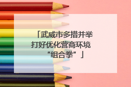 武威市多措并举打好优化营商环境“组合拳”