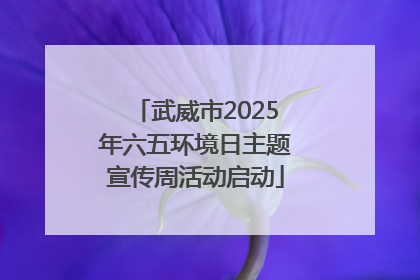 武威市2025年六五环境日主题宣传周活动启动