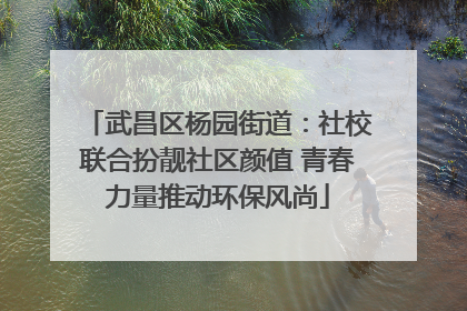 武昌区杨园街道：社校联合扮靓社区颜值 青春力量推动环保风尚