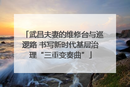 武昌夫妻的维修台与巡逻路 书写新时代基层治理“三重变奏曲”