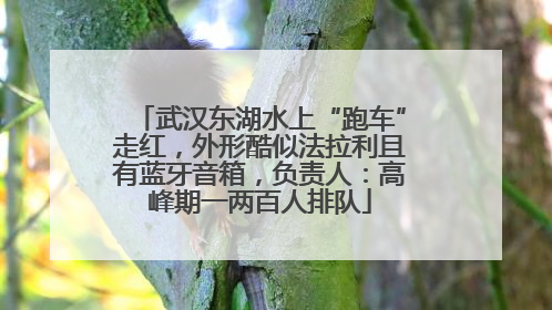 武汉东湖水上“跑车”走红，外形酷似法拉利且有蓝牙音箱，负责人：高峰期一两百人排队