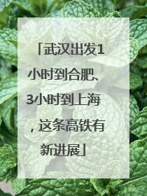 武汉出发1小时到合肥、3小时到上海，这条高铁有新进展