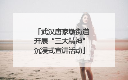 武汉唐家墩街道开展“三大精神”沉浸式宣讲活动