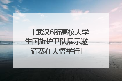 武汉6所高校大学生国旗护卫队展示邀请赛在大悟举行