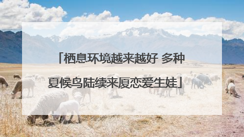 栖息环境越来越好 多种夏候鸟陆续来厦恋爱生娃