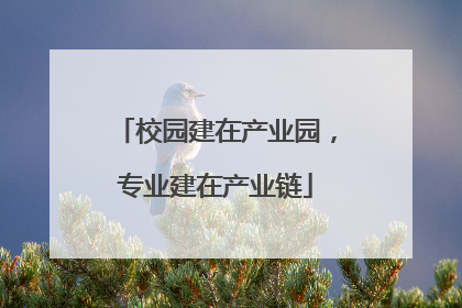 校园建在产业园，专业建在产业链