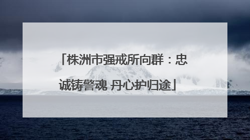 株洲市强戒所向群：忠诚铸警魂 丹心护归途