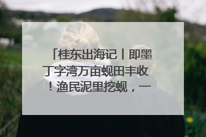 桂东出海记丨即墨丁字湾万亩蚬田丰收！渔民泥里挖蚬，一天上岸过千斤
