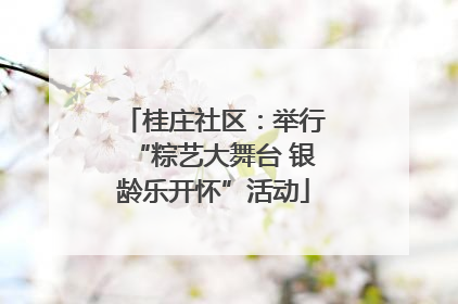 桂庄社区：举行“粽艺大舞台 银龄乐开怀”活动