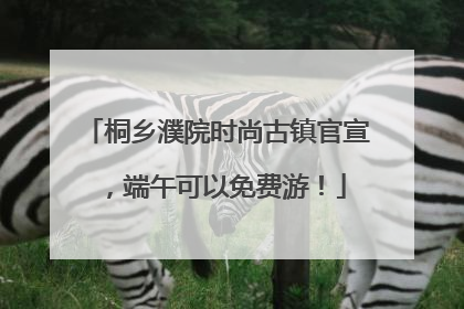 桐乡濮院时尚古镇官宣，端午可以免费游！
