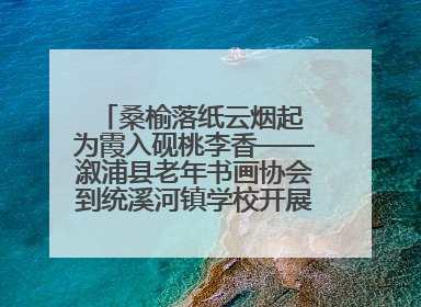 桑榆落纸云烟起 为霞入砚桃李香——溆浦县老年书画协会到统溪河镇学校开展书画进校园活动