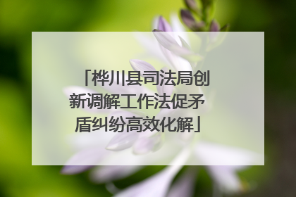 桦川县司法局创新调解工作法促矛盾纠纷高效化解