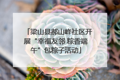 梁山县郝山峰社区开展“幸福友邻 粽香端午”包粽子活动