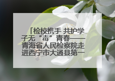 检校携手 共护学子无“毒”青春——青海省人民检察院走进西宁市大通县第一完全中学开展禁毒宣传侧记
