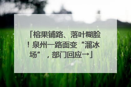 榕果铺路、落叶糊脸！泉州一路面变“溜冰场”，部门回应→
