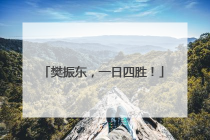 樊振东，一日四胜！