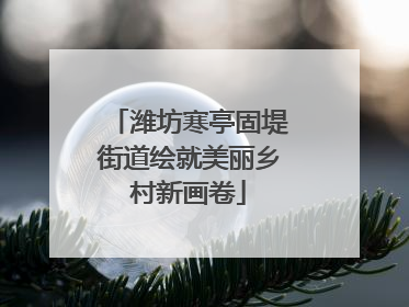 潍坊寒亭固堤街道绘就美丽乡村新画卷