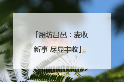 潍坊昌邑：麦收新事 尽显丰收
