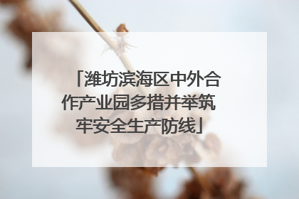 潍坊滨海区中外合作产业园多措并举筑牢安全生产防线