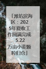 潍坊滨海区：2025年夏收工作圆满完成 5.22万亩小麦颗粒归仓