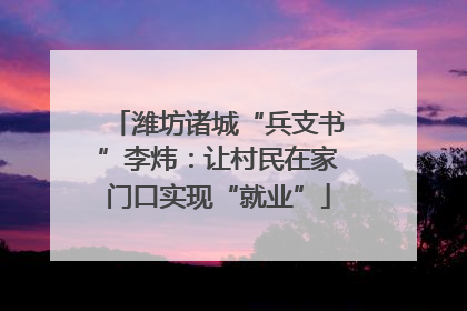 潍坊诸城“兵支书”李炜：让村民在家门口实现“就业”