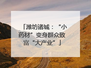 潍坊诸城：“小药材”变身群众致富“大产业”