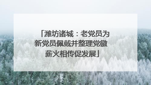 潍坊诸城：老党员为新党员佩戴并整理党徽 薪火相传促发展