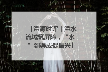 澧源时评｜澧水流域筑屏障，“水”到渠成促振兴