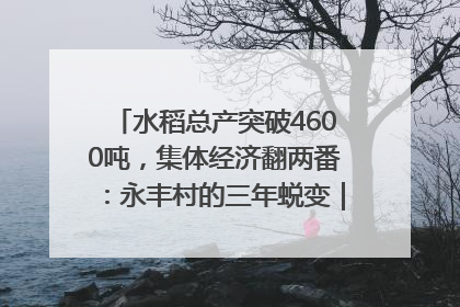 水稻总产突破4600吨，集体经济翻两番：永丰村的三年蜕变｜您牵挂的四川