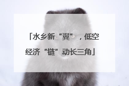 水乡新“翼”，低空经济“链”动长三角