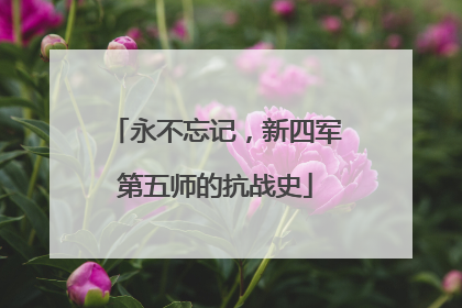 永不忘记，新四军第五师的抗战史