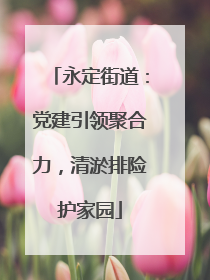 永定街道：党建引领聚合力，清淤排险护家园