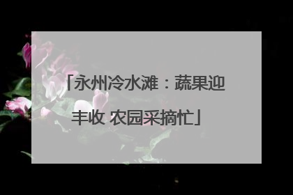 永州冷水滩：蔬果迎丰收 农园采摘忙
