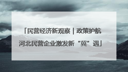 民营经济新观察｜政策护航 河北民营企业激发新“冀”遇
