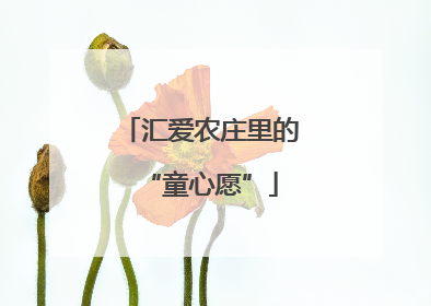 汇爱农庄里的“童心愿”