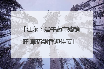 江永：端午药市购销旺 草药飘香迎佳节