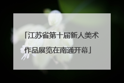 江苏省第十届新人美术作品展览在南通开幕