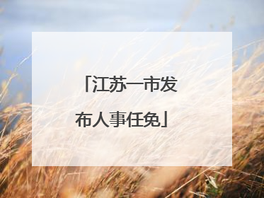 江苏一市发布人事任免