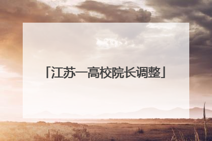 江苏一高校院长调整