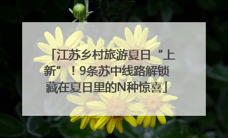 江苏乡村旅游夏日“上新”！9条苏中线路解锁藏在夏日里的N种惊喜