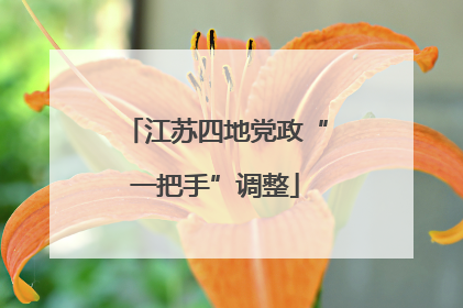江苏四地党政“一把手”调整