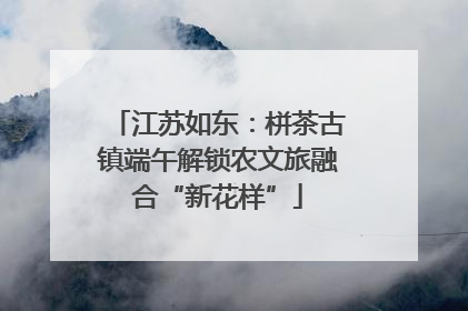 江苏如东：栟茶古镇端午解锁农文旅融合“新花样”