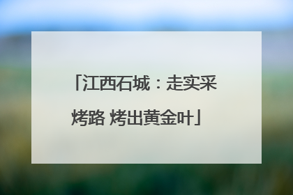 江西石城：走实采烤路 烤出黄金叶