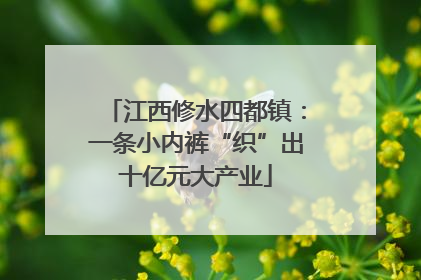 江西修水四都镇：一条小内裤“织”出十亿元大产业
